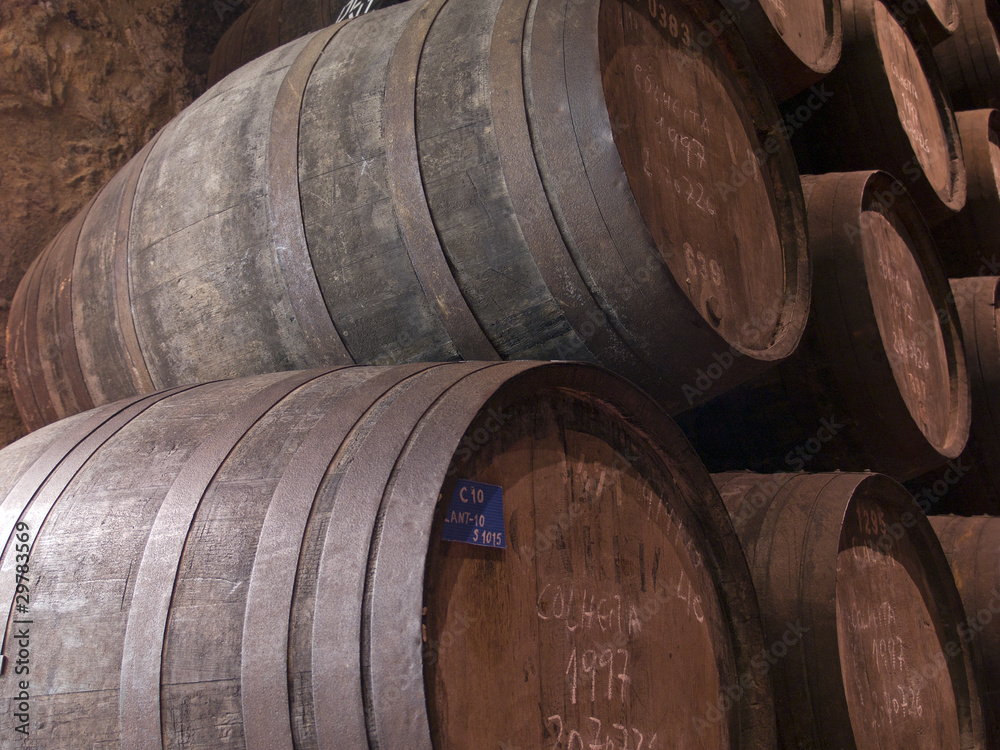 vine cellar with colheta porto tawny wooden barrels vine cellar with colheta porto tawny wooden barrels