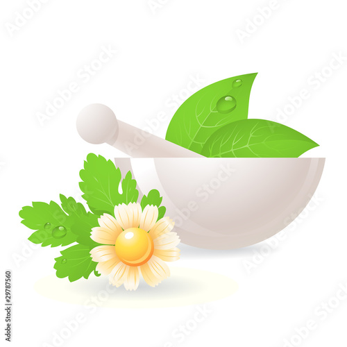 Mortar with herbs and camomile.