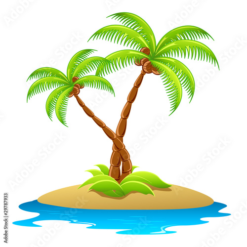 Palm Tree