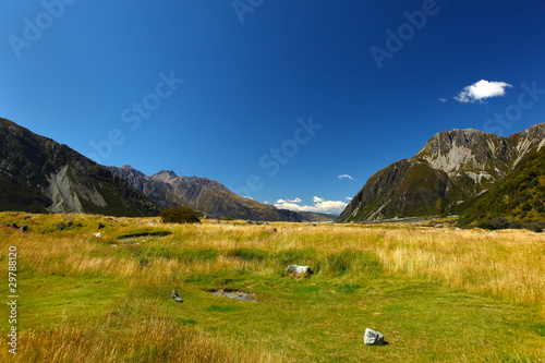 Hooker Valley Mount Cook photo