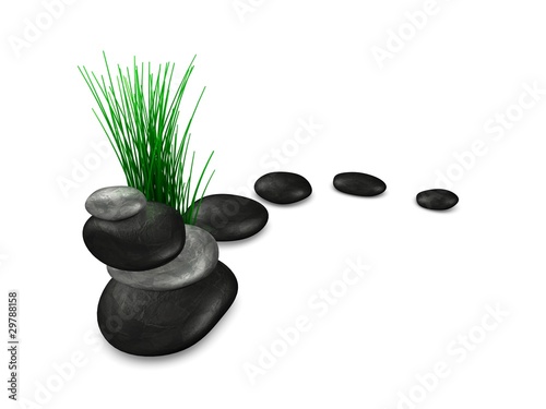 Zen stones and plant