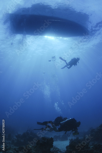 silouetted scuba divers desend on a dive