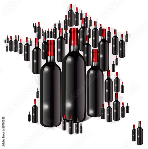 les vins en france