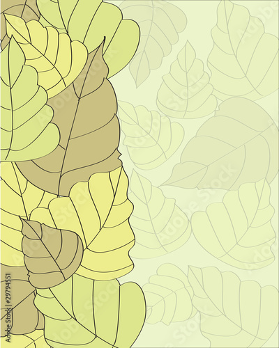 vector leaf background with a place for your text