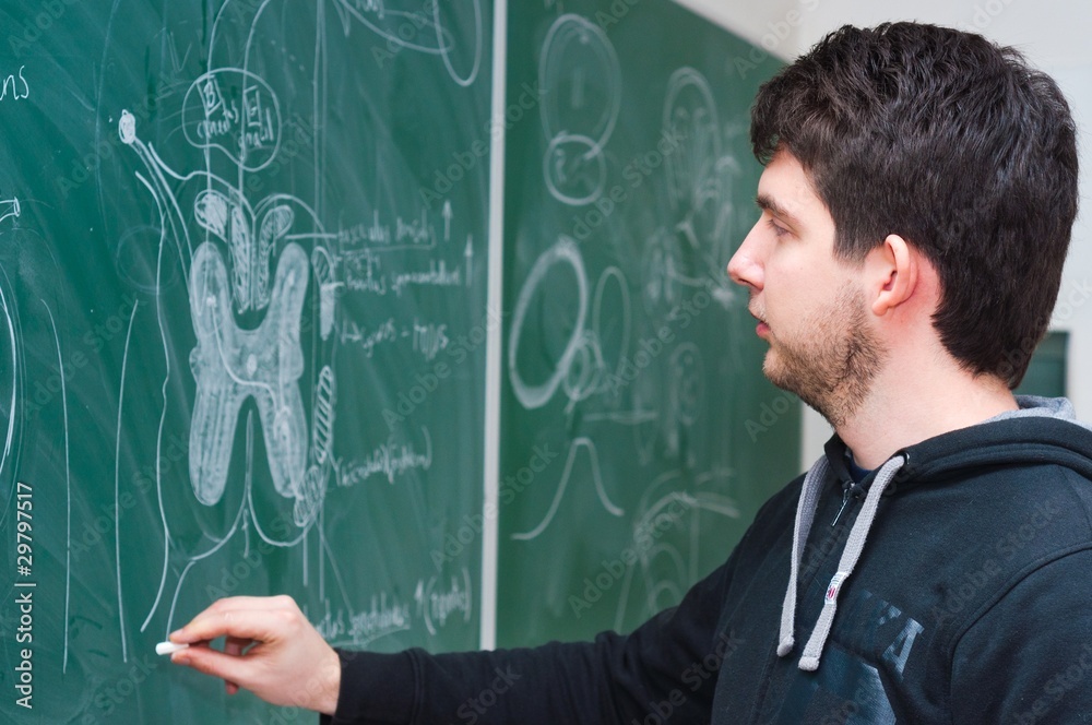 Young student showing spinal chord on green chalk board