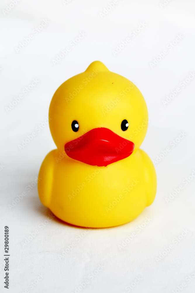 Duck toy Duck toy