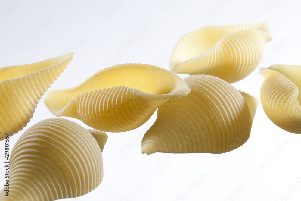 plusieurs conchiglioni pâtes en forme de coquille plusieurs conchiglioni pâtes en forme de coquille