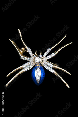Obraz na płótnie vintage spider brooch w salonie