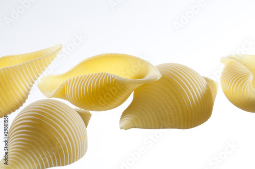 gros plan sur des pâtes coquillettes