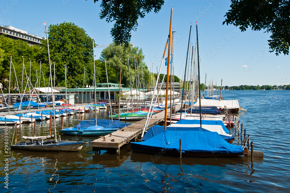 Im Sommer an der Hamburger Aussenalster.