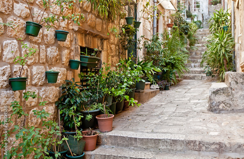 Narrow street with greenery in flower pots on the floor