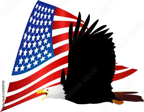 Eagle and American flag