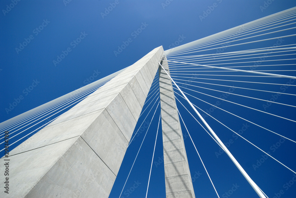 Fototapeta premium Fragment mostu Arthura Ravenela w Charleston SC