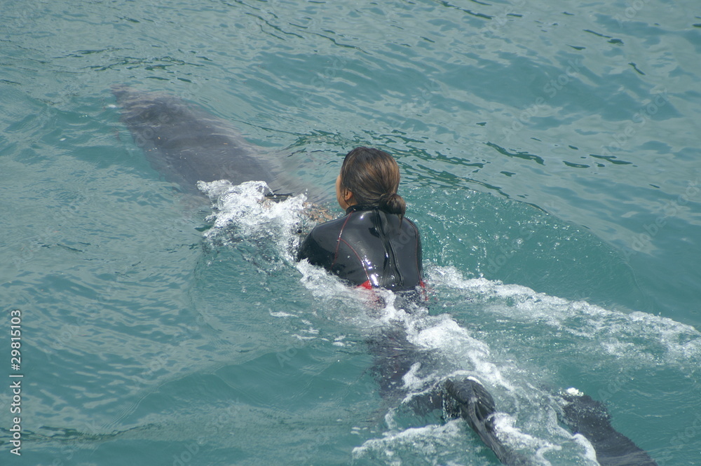 イルカ　ドルフィン　女性　泳ぐ　イルカと泳ぐ