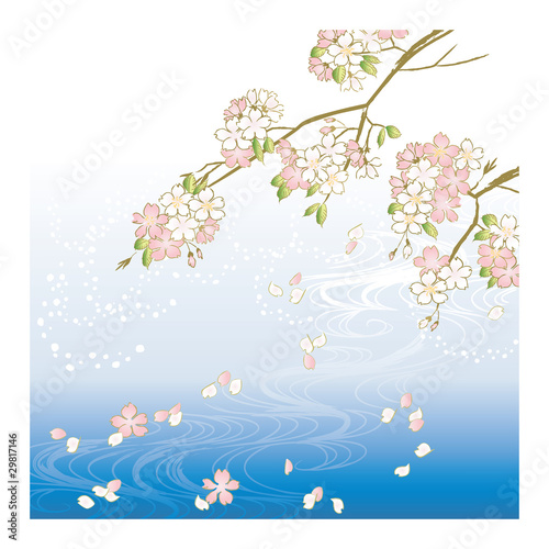 桜