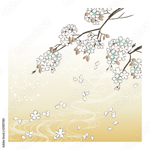 Fototapeta Naklejka Na Ścianę i Meble -  桜