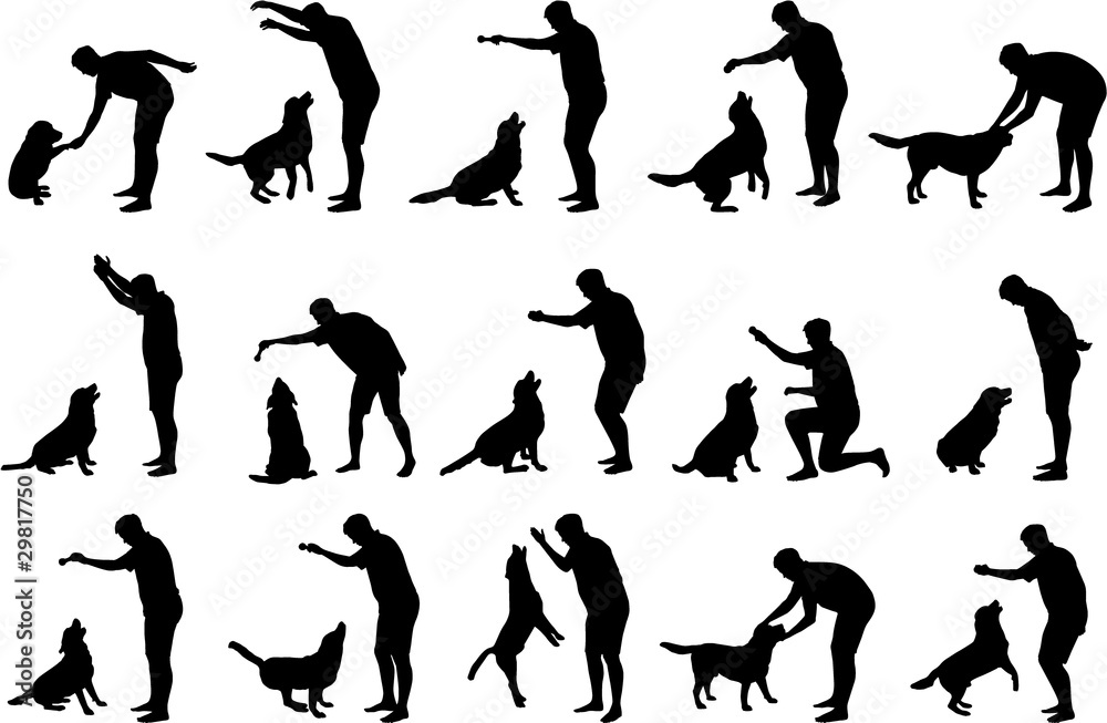 Boy with a dog silhouettes