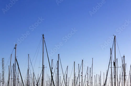 Masts © Wayne H