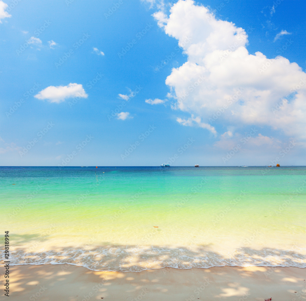 beach and sea