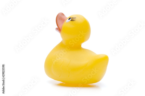 Quitschente