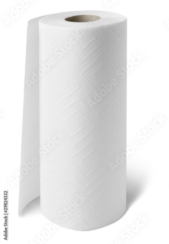Paper towel roll