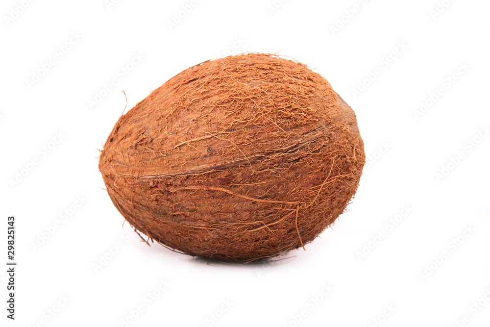 COconut isolated on white background COconut isolated on white background