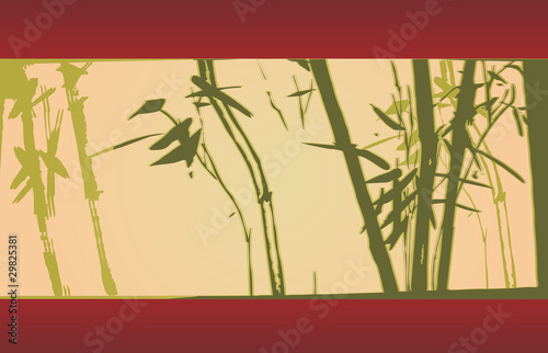 bamboo