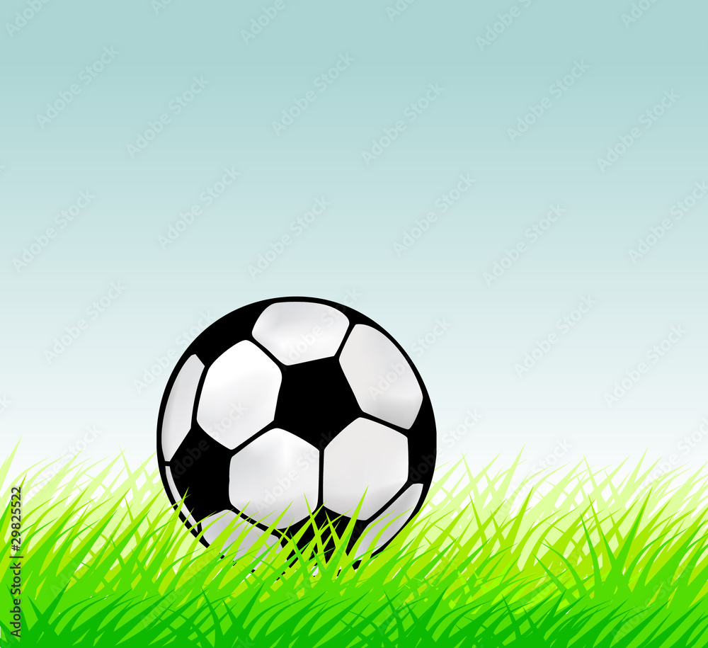 Fototapeta premium Vector football game ball