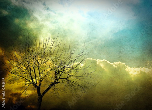 Abstract tree  background