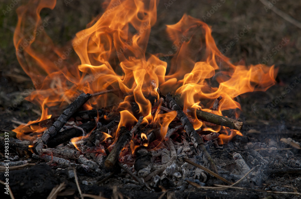 Campfire Campfire