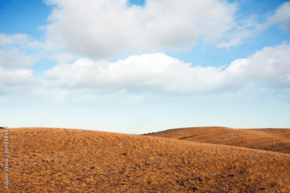 meadow landscape with clouds in the sky