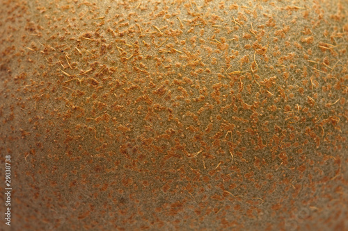 fresh kiwi texture