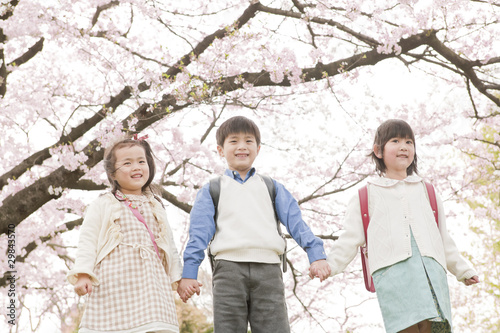 小学生と桜
