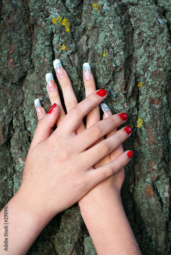 two female palms on background of tree bark