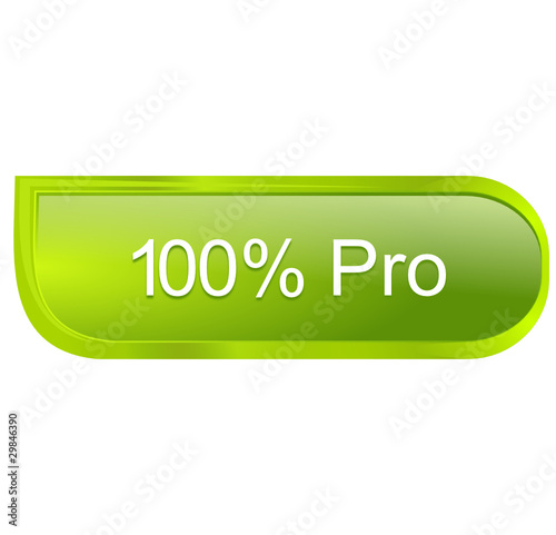 100 pour 100 pro sur bouton design vert