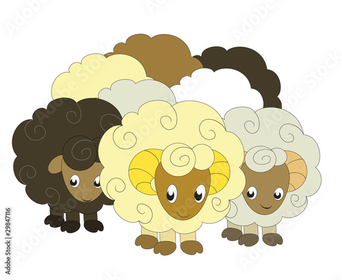 a vector illustration of a flock of sheep