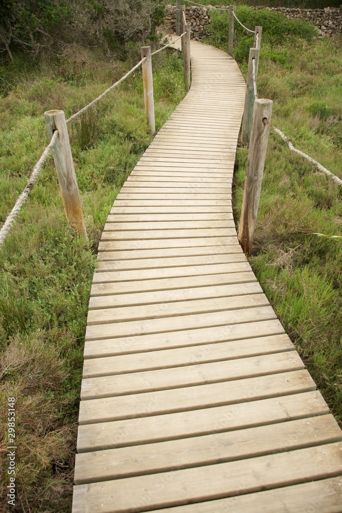 wood footbridge