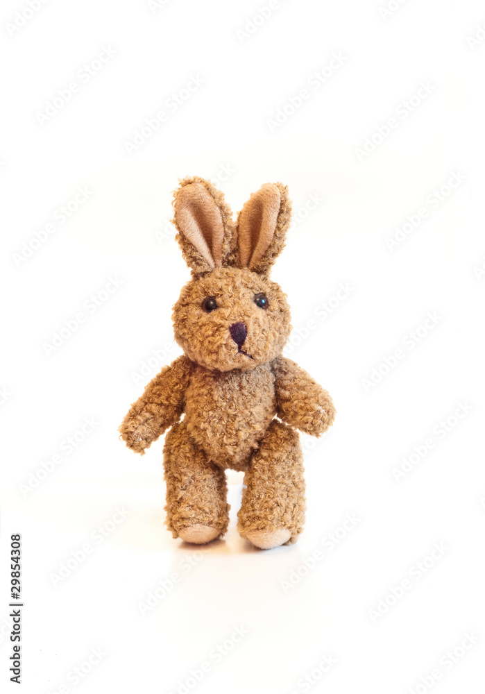Fototapeta premium Brown Rabbit Toy