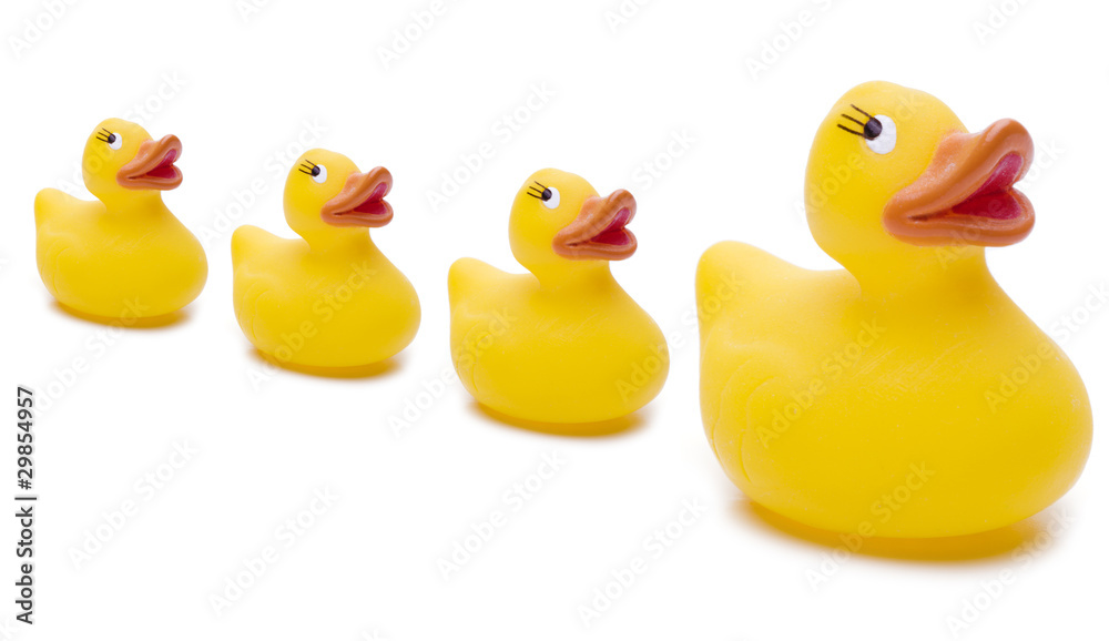Quitschenten Quitschenten