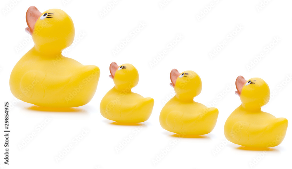 Quitschenten Quitschenten
