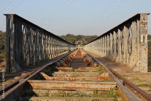Puente de hierro photo