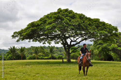 a man on horseback