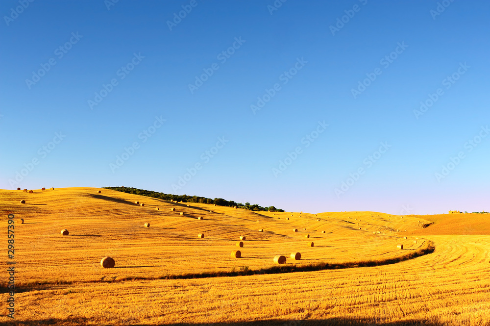 Obraz premium Tuscany Landscape