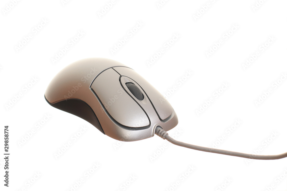 Computer mouse isolated on the white background . Computer mouse isolated on the white background .
