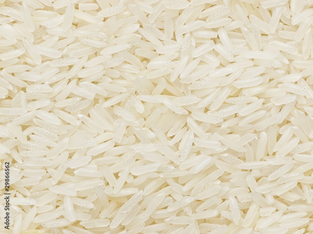 raw polished white rice