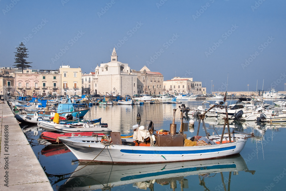 Panoramic view of Trani seaport. Apulia.