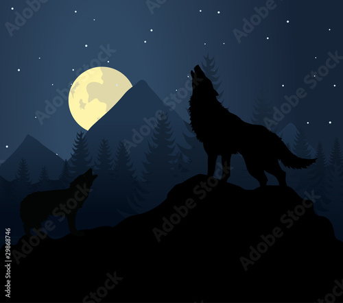 wolf3