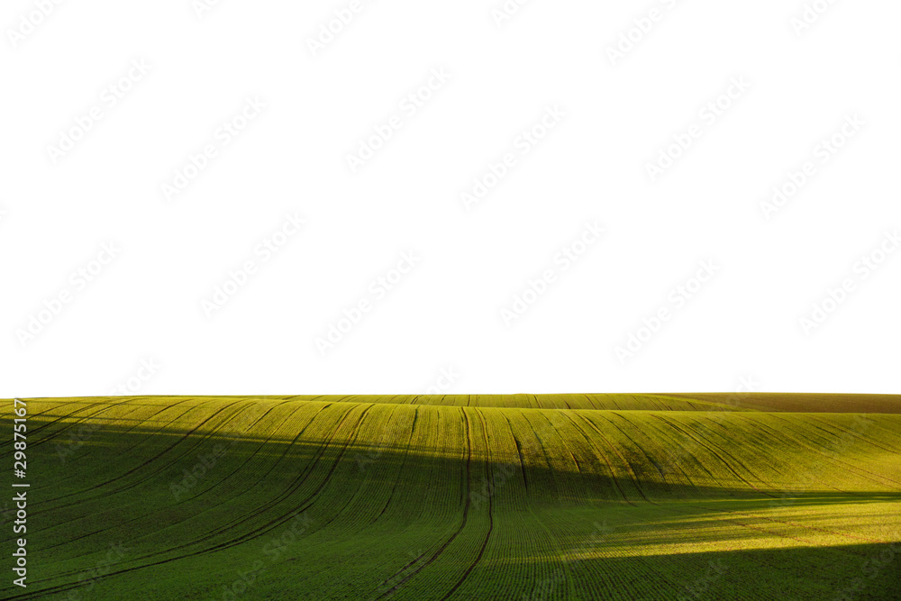 Obraz premium Geschwungene Felder freigestellt