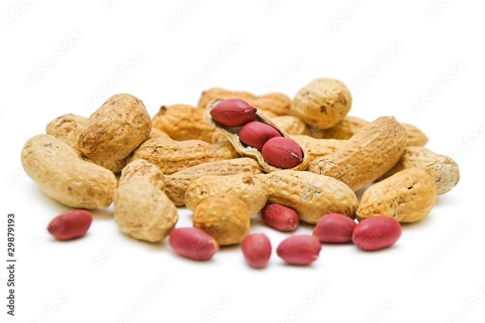 nuts on white background. nuts on white background.