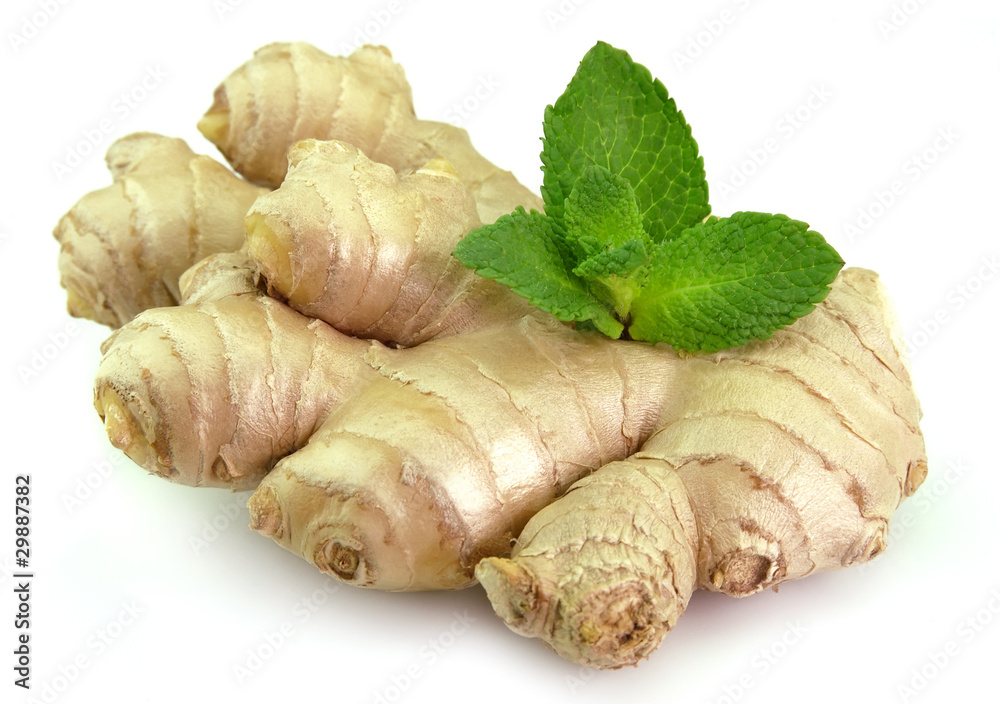 Root of ginger with mint